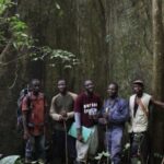 Conservation Activist in Ghana Suing the Government to Protect the forest from Mining