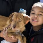 Global Pet Adoption by North Shore Animal League