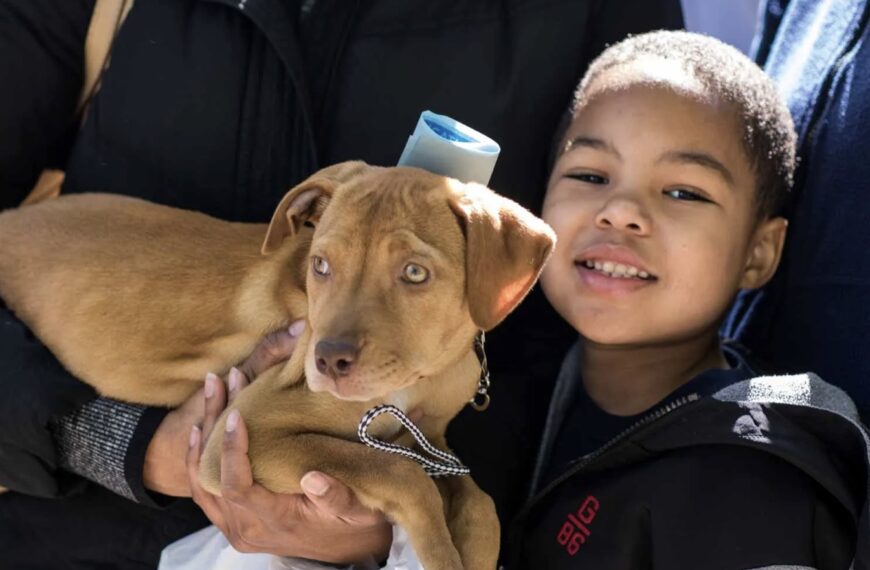 Global Pet Adoption by North Shore Animal League